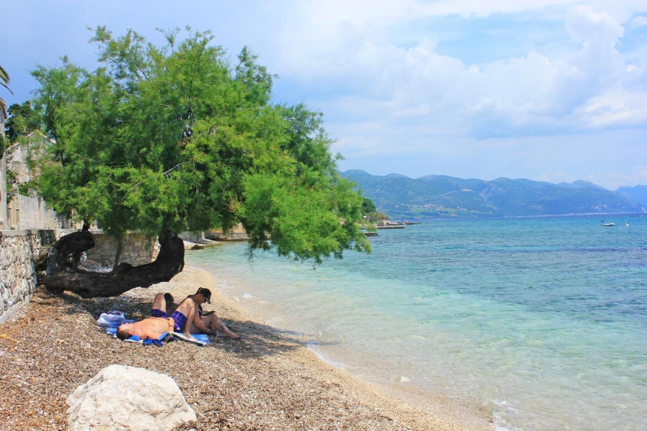 Apartments By The Sea Orebic, Peljesac - 4496 Buitenkant foto